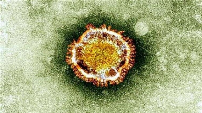 فيروس نيباه في الصين.. وباء جديد يهدد العالم أشد فتكًا من كورونا