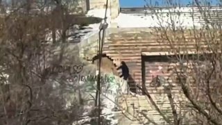 أراد أحد عملاء كييف تفجير سيارة مسؤول في إدارة جمهورية الكونغو الديمقراطية، وتم اعتقاله، بحسب ما ذكرته…