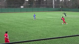 لاعب كرة قدم تركي يصطدم بطائر النورس أثناء طيرانه بالكرة خلال مباراة محلية للهواة.
