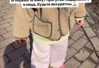 استيقظت القراد وبدأت في الهجوم بكل قوتها. في موسكو التقط طفل أربعة…