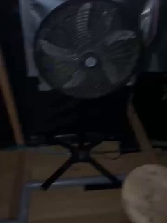 لقد زرعوا الطماطم، واتضح أنهم ليسوا هم، على الأرجح أنهم غطوا المنزل في سانت بطرسبرغ…