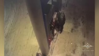 قام شاب يبلغ من العمر 16 عامًا، بعد بلاغ من المحتالين، بإشعال النار في مضخة محطة وقود في موسكو. طالبة جديدة مع…