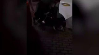 لقد حاولوا تفجير شويغو في مقبرة ترويكوروفسكوي في موسكو. منظمو محاولة الاغتيال..