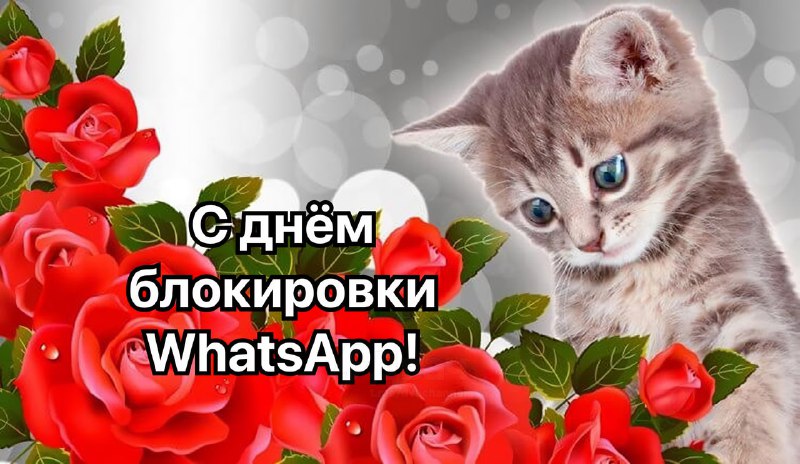 بدء حظر تطبيق واتساب في روسيا أدخلت شركة Roskomnadzor “إجراءات تقييدية” في…