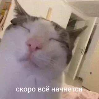 ماذا، انتهكت روسيا المجال الجوي البولندي بطائراتها بدون طيار؟ يبدأ…