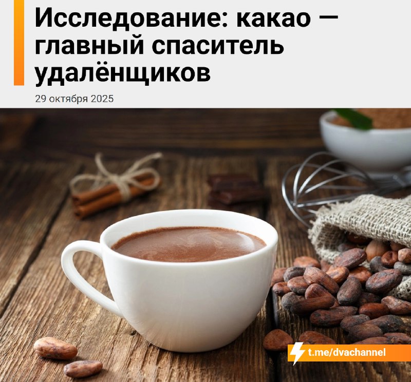 الكاكاو هو المنقذ الحقيقي لأولئك الذين يعملون على الكمبيوتر. العلماء يطلقون على الجلوس…