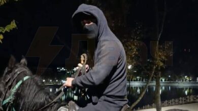 راكبون يرتدون الجلد الأسود يجلدون المتقاعدين لإبداء ملاحظة زوجان مسنان … راكبون يرتدون الجلد الأسود يجلدون المتقاعدين لإبداء ملاحظة زوجان مسنان …