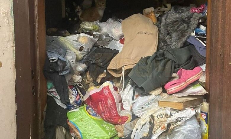 ترك أحد سكان موسكو شقة من ثلاث غرف للقطط الصغيرة، بعد أن وفر سابقًا طنًا هناك…