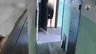غبية يا عاهرة! جار غير لائق محب للكلاب يحرق حيا أحد سكان منطقة موسكو … غبية يا عاهرة! جار غير لائق محب للكلاب يحرق حيا أحد سكان منطقة موسكو …
