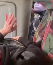 سائق حافلة عادية حاول وضع يده تحت سترة فتاة في كراسنوجور…