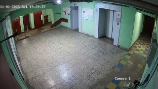 ألقى أحمق عدواني من سانت بطرسبرغ كلبًا صغيرًا على الحائط بـ “لحمة” واحدة في …