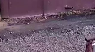 سرق رجل بلا مأوى أموالاً ووزعها على أصدقائه في روسيا. رجل بلا مأوى في تيومين سرق المال في وضح النهار…