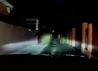 رعب من روستوف على نهر الدون: كاد الهارب الغاضب ألاباي أن يقتل امرأة، وينمو…