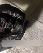 أم مسافرة قامت برسم وشم لطفلها البالغ من العمر سنة واحدة مع إعلان من أجل المشاركة… أم مسافرة قامت برسم وشم لطفلها البالغ من العمر سنة واحدة مع إعلان من أجل المشاركة…