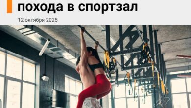 الحياة الحميمة المنتظمة يمكن أن تحل محل النشاط البدني وتقوي القلب: …