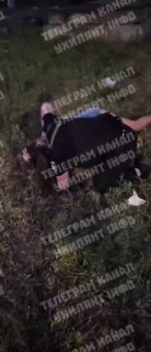 يا شباب، مساعدة! أنا حامل! لقد ضربتني في المعدة! إنه بالفعل مشهد مألوف و… يا شباب، مساعدة! أنا حامل! لقد ضربتني في المعدة! إنه بالفعل مشهد مألوف و…