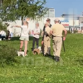 تسببت بطانية غاضبة في حدوث ضجة كبيرة في حديقة موسكو في خودينكا. في كل شيء…