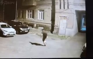 حاول “الصيادون الصغار” الأوكرانيون وضع أحد المارة البسيطين في شاحنة صغيرة، ولكن في النهاية…