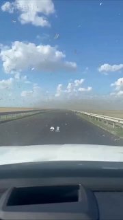 جحافل الجراد تهاجم داغستان بشكل جماعي. تم ملاحظة عدد كبير من الحشرات…