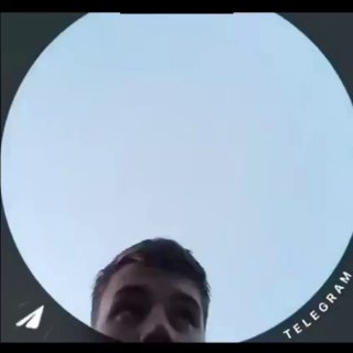 حماقة المخربين في تشيبوراشكا. حصلت تشيبوراشكا على القرف مرة أخرى هذه الليلة في فولغوغراد…